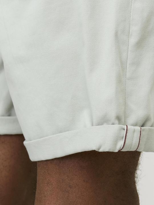 Image du produit Jack & Jones Regular Fit Chino Short Chino Short (M)