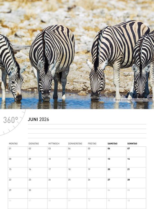 Produktbild NamibiaBroschürenkalender2026 (Deutsch)