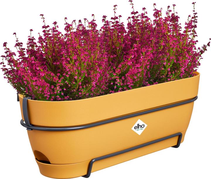Actual product image Elho Vibia Campana Balcony Box Allin1 (26 cm)