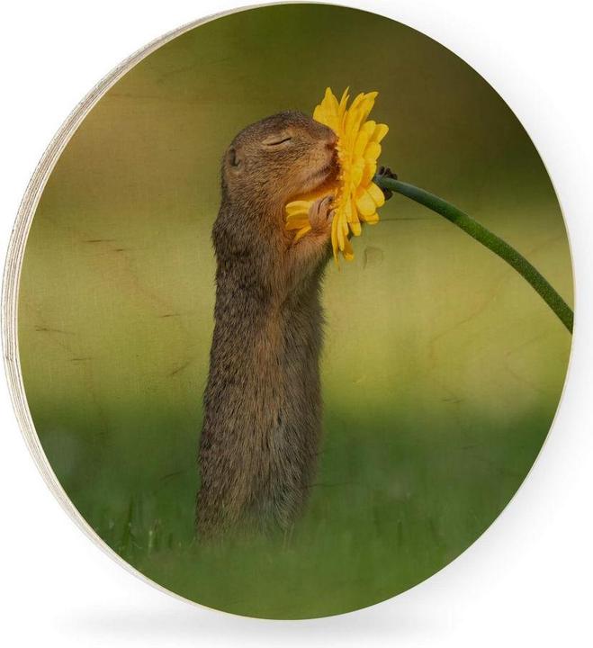 Actual product image Trenddeko van Duijn - Gopher smells flower (Ø 45 cm)