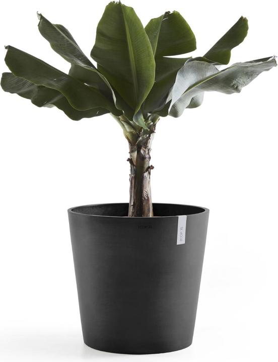 Actual product image Ecopots Amsterdam + Water reservoir (50 cm)