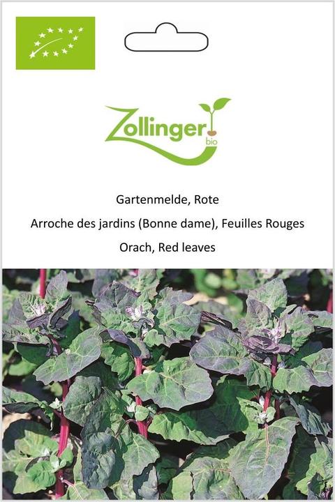 Produktbild Zollinger Bio Gartenmelde, Rote