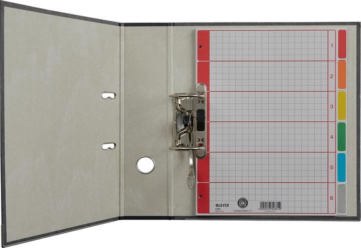 Immagine prodotto Leitz Registra il cartone