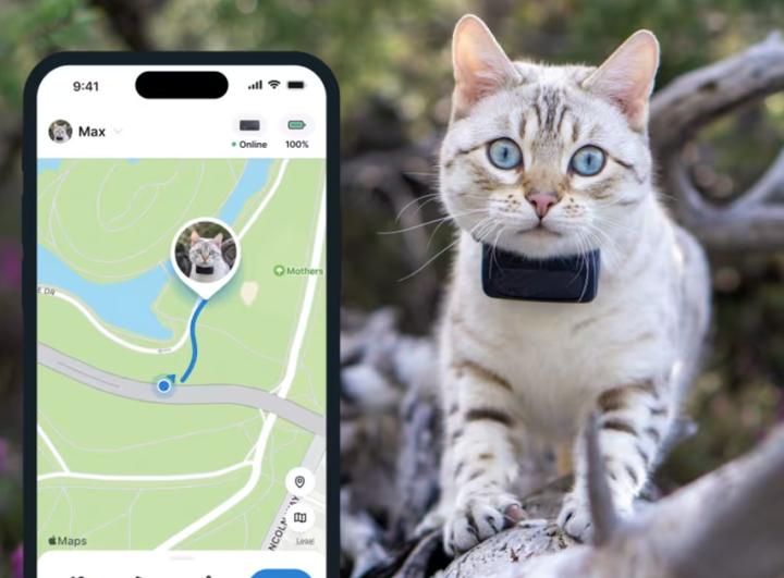Image du produit Tractive CAT Mini tracker GPS pour chats (Chat, Général)