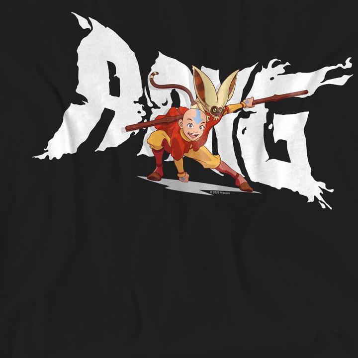 Actual product image Avatar: The Last Airbender Unisex Adult Aang & Momo T-Shirt (XL)