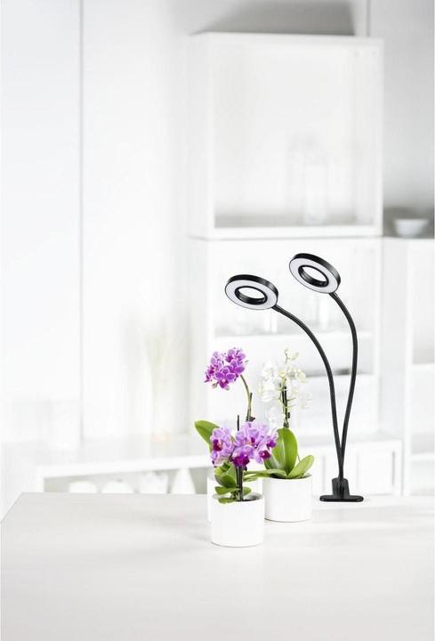 Produktbild Xavax Circle (LED, 5 V)
