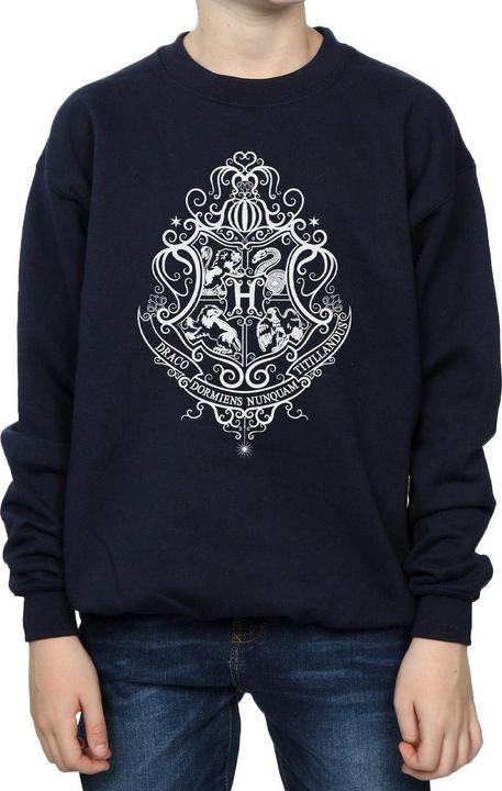 Actual product image Boys Hogwarts Draco Dormiens Crest Sweatshirt (128)
