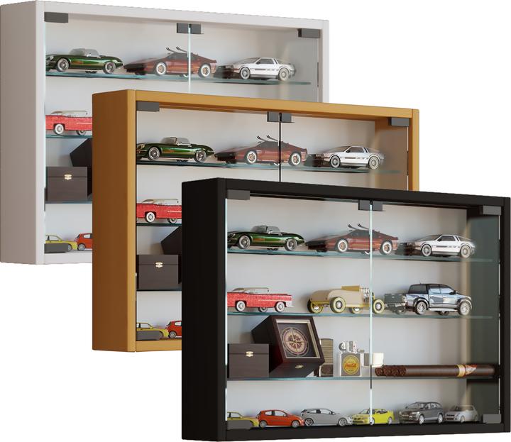 VCM Wandvitrine (60 x 10 x 40 cm)