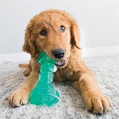 Actual product image KONG Squeezz (Retrieval)