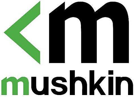 Actual product image Mushkin DDR4 SO-DIMM 16 GB 2400-CL17 - Dual Kit - Essential (2 x 8GB, 2400 MHz, DDR4-RAM, SO-DIMM)