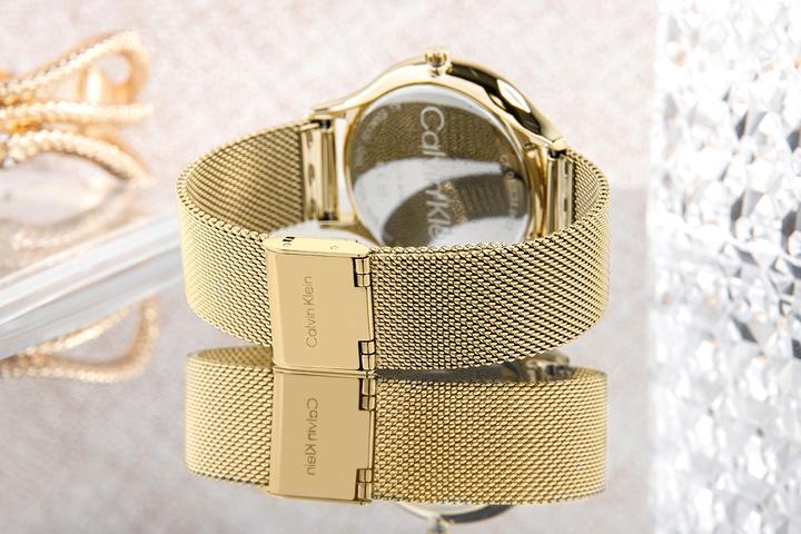 Produktbild Calvin Klein Timeless Mesh Damenuhr 25200003 + BOX (Analoguhr)