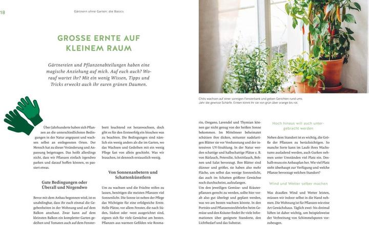 Actual product image Deine Fensterbank kann Garten! (German, Annemarie Imgrund, 2023)
