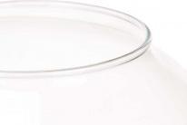 Image du produit Giftdecor vase convexe avec bouchon en liège (1 x)