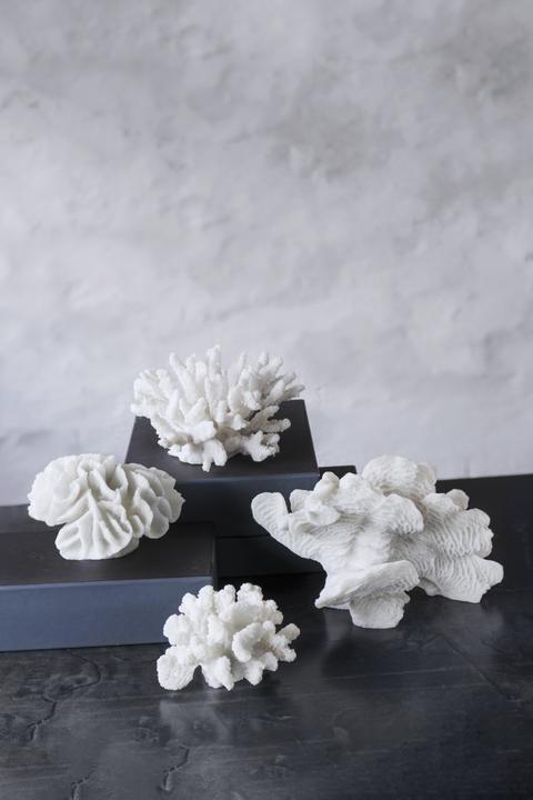 Immagine prodotto Mette Ditmer Coral (13 x 24 x 16 cm)