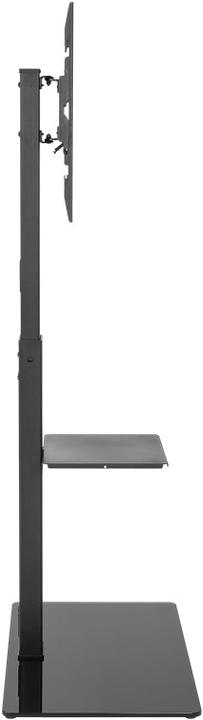 Actual product image Goobay TV-Bodenständer Basic (Universal, 65", 40 kg)