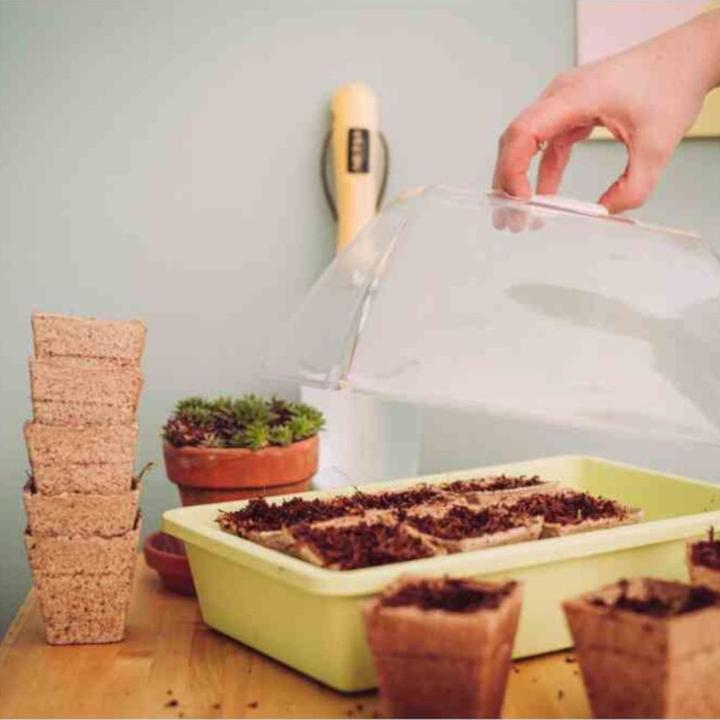 Produktbild Siena Garden Kokos-Erde (10 l)