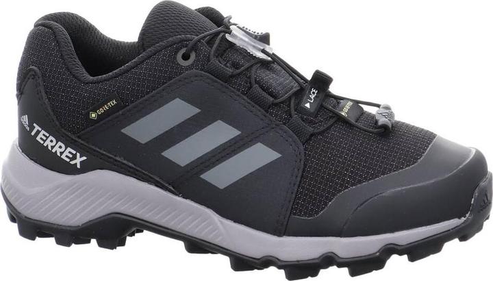 Produktbild adidas Terrex GTX Schuhe (31)