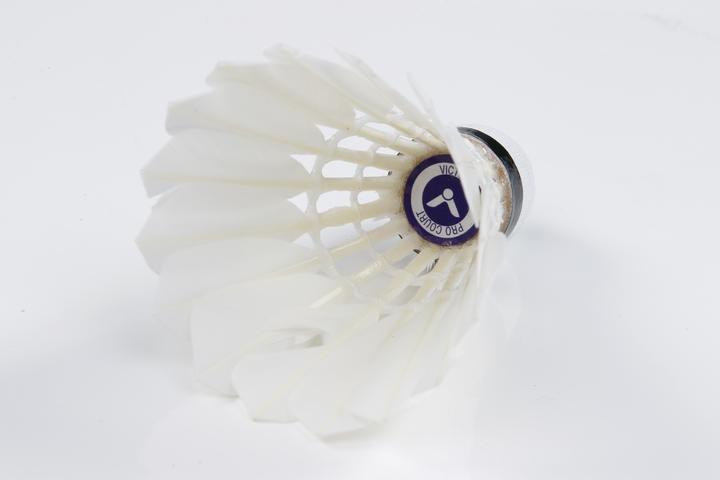 Image du produit Victor Volants de badminton Pro Court