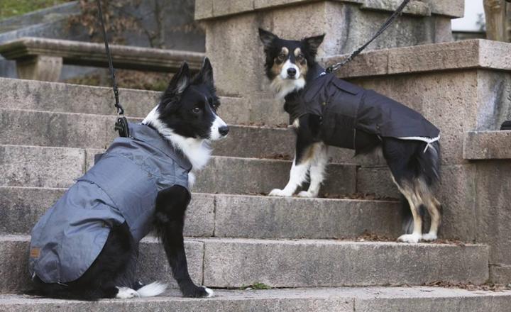 Immagine prodotto Croci Impermeabile Spa Montreal per cani nero 60 cm (60, Cappotto per cani)