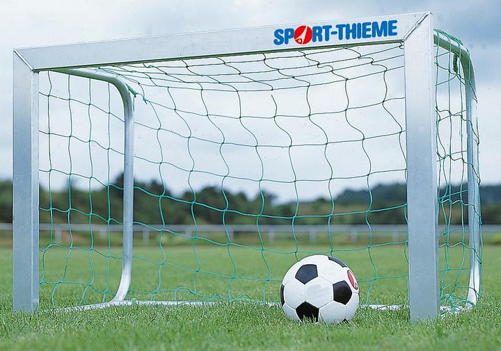 Actual product image Sport-Thieme Mini goal net, mesh size 10 cm