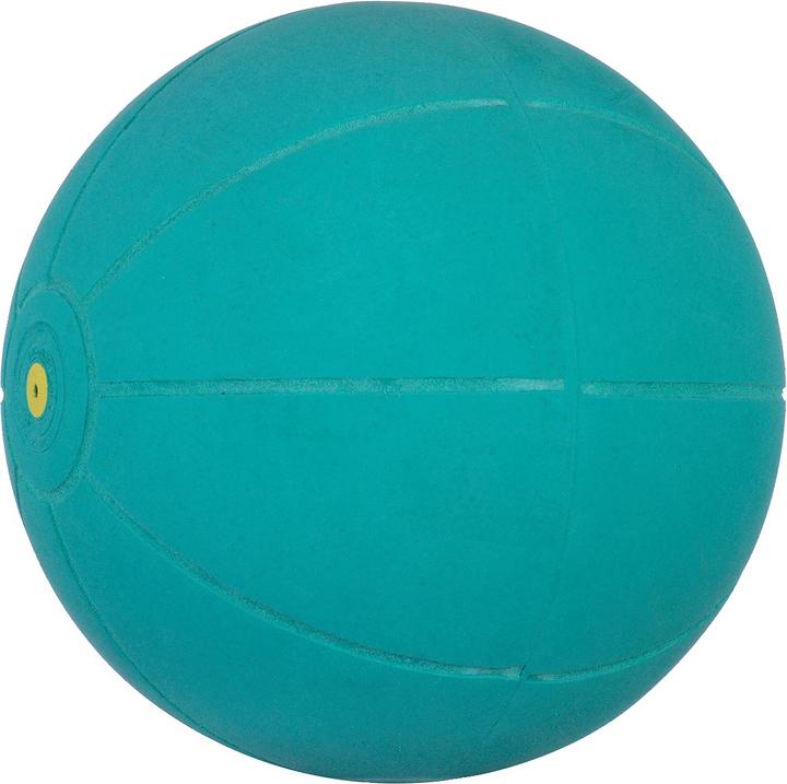Actual product image WV Ball Medicine ball (1 kg, 200 mm)