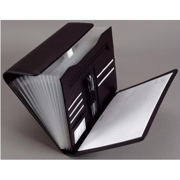 Safe Einsteckblätter Schwarz Für Compact A4-Album Nr. 454  10er Pack Neu