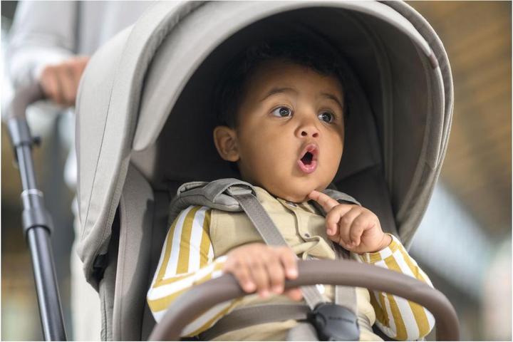 Actual product image Maxi-Cosi Oxford Plus pushchair