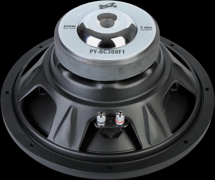 Actual product image Peiying Car Subwoofer PY-BC300F1 12 " (30.48 cm)
