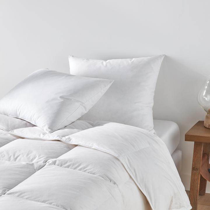 Image du produit La Redoute Interieurs Oreiller ferme avec 15% de duvet (70 x 70 cm)