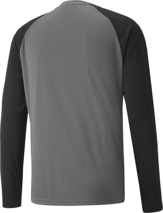 Actual product image Puma teamPACER GK LS Jersey-704933 (S)