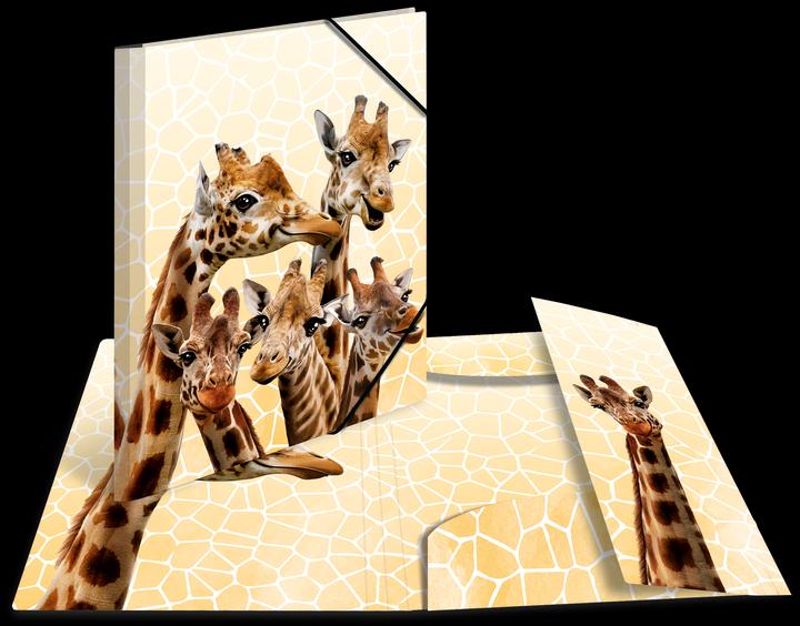 Actual product image Herma A3 motif folder (A3, 1 x)
