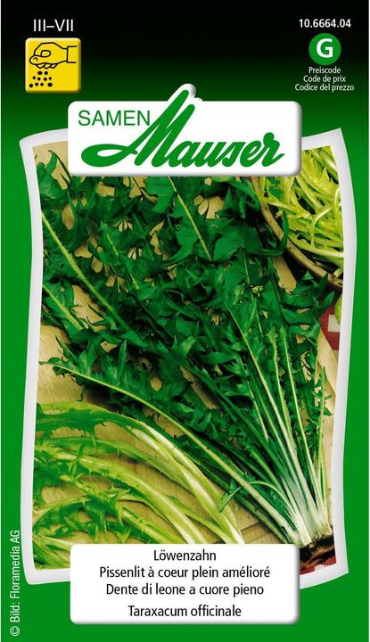 Samen Mauser Pissenlit (Graines de légumes)