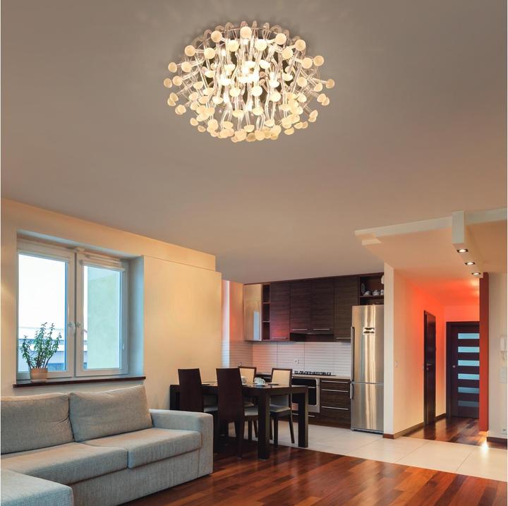 Immagine prodotto Philips Bruciatore (G9, 4 W, 480 lm, 1 x, E)