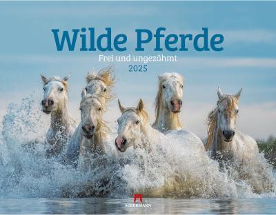 Actual product image Wilde Pferde (54 x 42 cm, Soft cover, German)