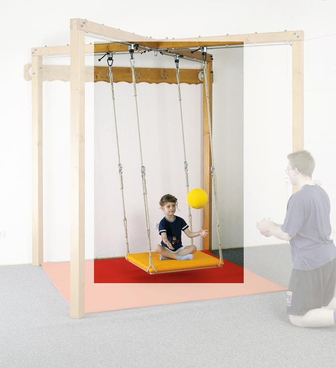 Actual product image Sport-Thieme Platform swing