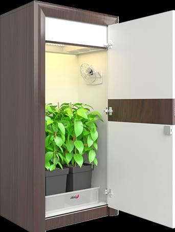 Actual product image Urban Chili 3.0 LED BOARD grow box complete set