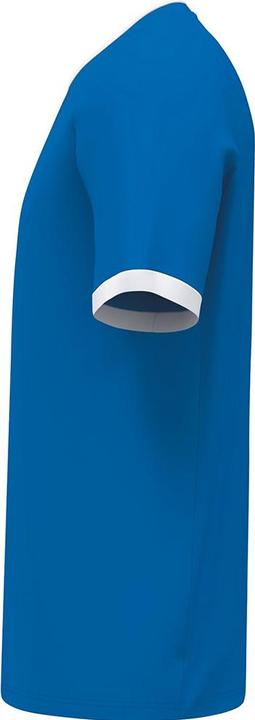 Immagine prodotto Erima LIBERO 125 Jersey (140)