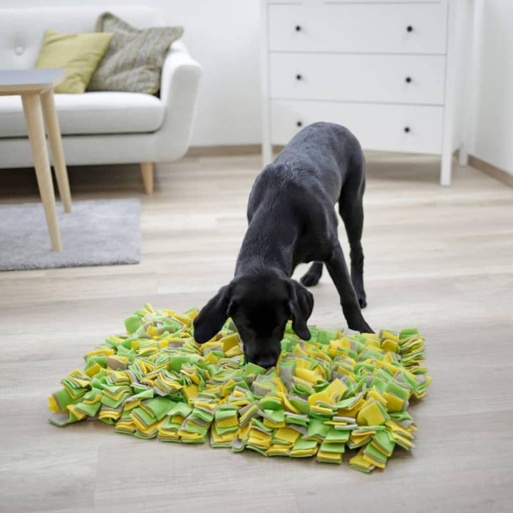 Produktbild Kerbl Schnüffelteppich (Intelligenzspielzeug Hund)