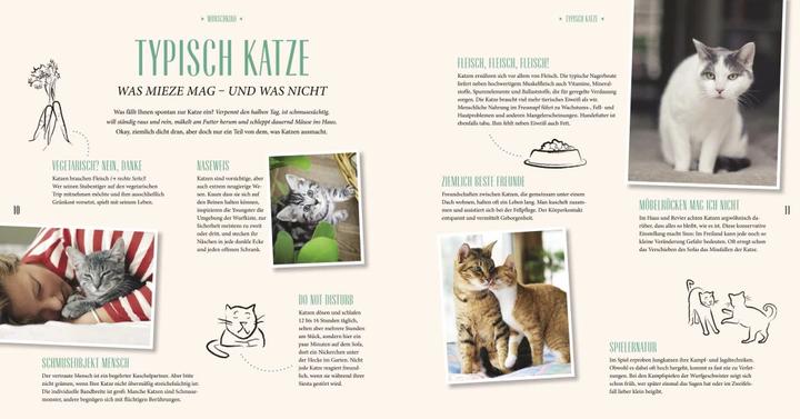 Produktbild Katzen Basics (Deutsch, Gerd Ludwig, 2015)