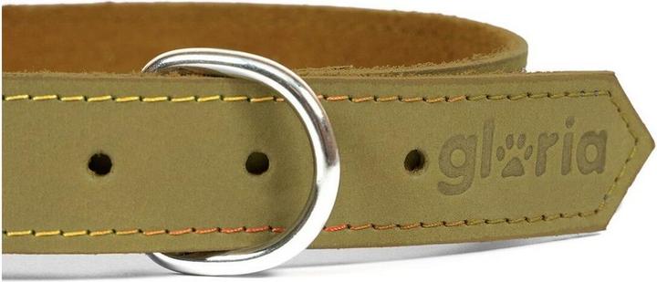 Immagine prodotto Gloria Collare per cani Oasis 50 cm verde (50 x 2,1 cm) (Pelle nabuk)