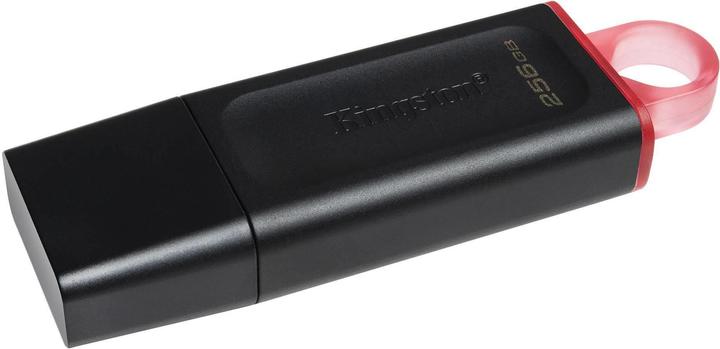 Image du produit Kingston LECTEUR DE MÉMOIRE FLASH USB3.2/256GB DTX/256GB (256 Go, USB 3.0, USB 3.1, USB 3.2)