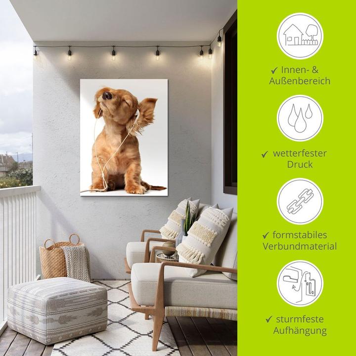 Produktbild Artland Junger Hund hört Musik über Kopfhörer T5QE (60 x 80 cm)