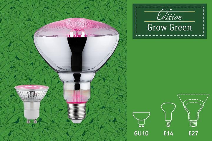 Actual product image Paulmann Plant light (GU10, 3.50 W, 95 lm, 1 x)