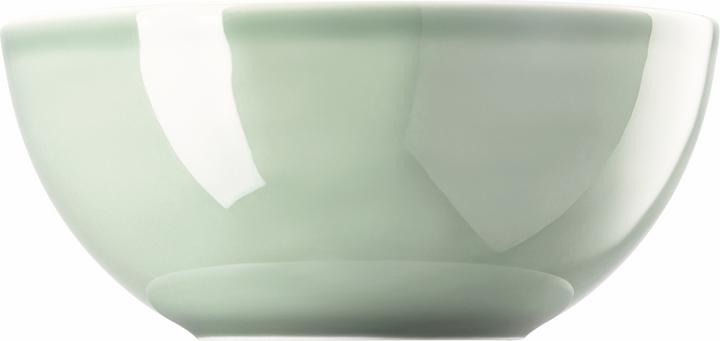 Immagine prodotto Thomas Daily - Verde muschio - Ciotola 21 cm (20.90 cm, 2 l, 1 x)