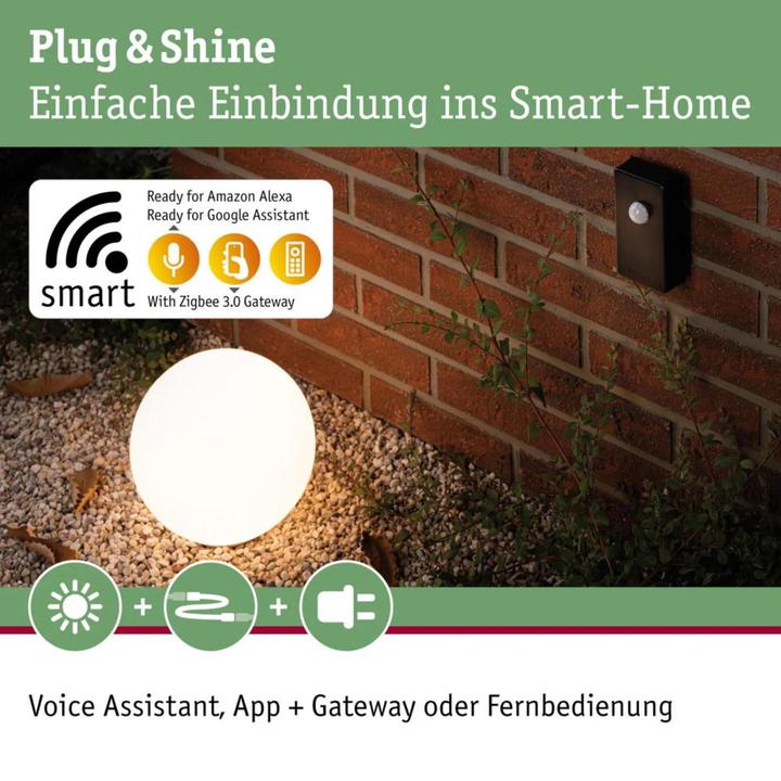 Actual product image Paulmann Plug & Shine ZigBee Controller