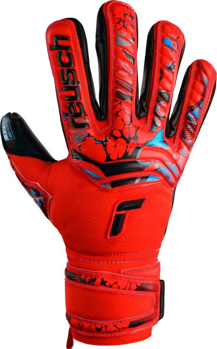 Image du produit Reusch Attrakt Gold X (5.5)