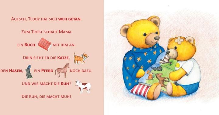 Produktbild Das Teddybuch zur (Deutsch)