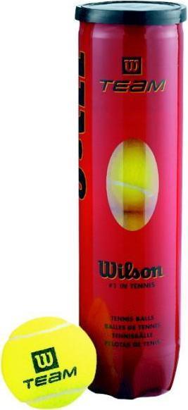 Actual product image Wilson Tennis balls TEAM PRACTICE 4pcs WRT111900