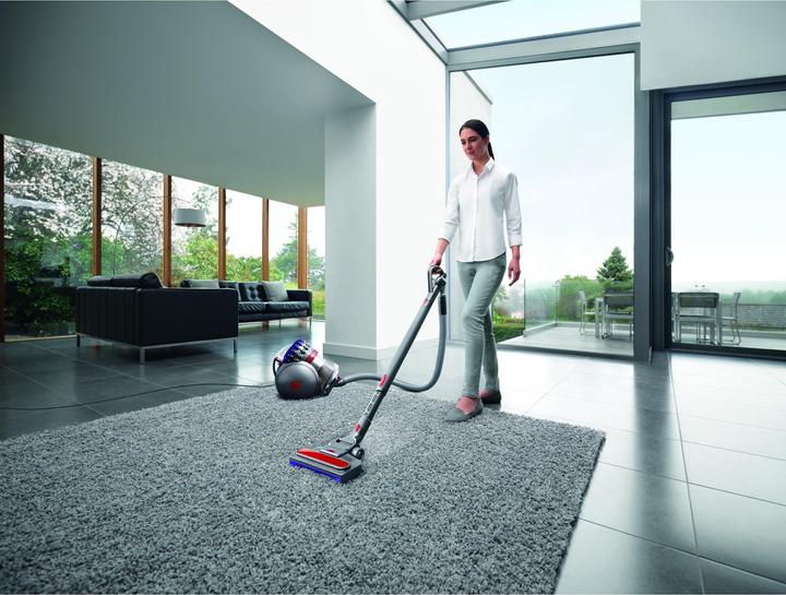 Image du produit Dyson Big Ball Parquet 2