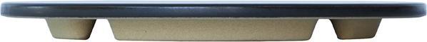 Actual product image LotusGrill pizza stone